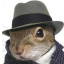 Secretsquirrel