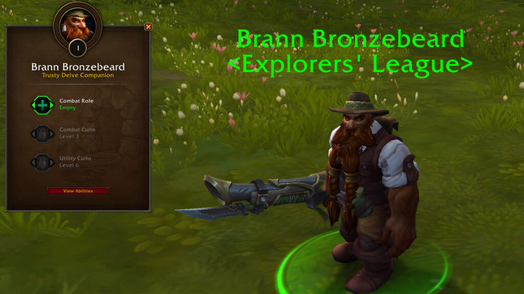 delves brann bronzebeard