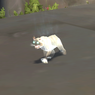 Hallow's End - Cursed Birman Pet