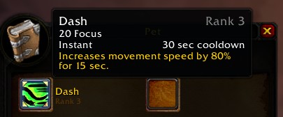 hunter pet dash ability tooltip